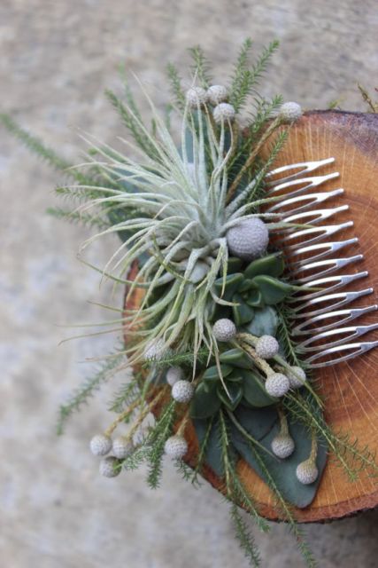 a wedding comb decorated with air plants, berries and greenery is a creative alternative to a usual wedding headpiece