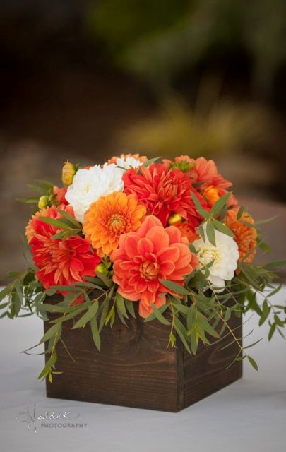 a wooden box with white orange dahlias and greenery is a gorgeous bright wedding centerpiece for a summer or fall wedding