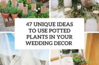 47 unique ideas to use potted plants in your wedding decor cover