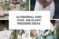 62 original and cool air plant wedding ideas cover