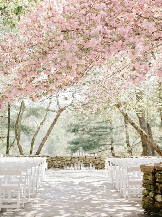 a cherry orchard with blooming trees is a gorgeous idea for a wedding ceremony in spring, just add candles and enjoy the look of the space