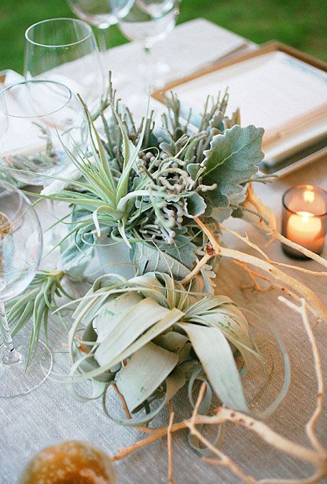 a creative wedding centerpiece of pale greenery, air plants and driftwood is a stylish idea fro a modern coastal wedding
