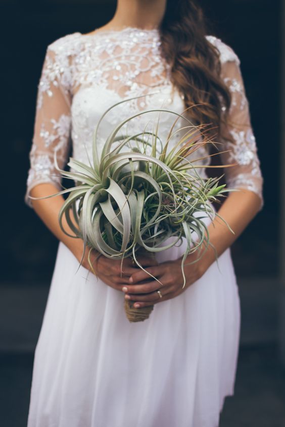 a fully air plant wedding bouquet is a lovely idea for a boho or rustic bride, it's a lovely idea for a non-floral wedding