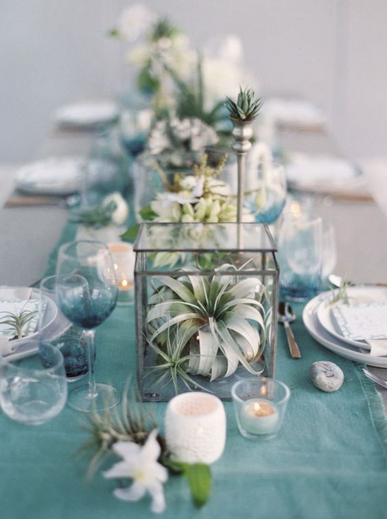 a lovely coastal wedding tablescape with a blue table runner, white blooms and air plants in terrariums plus candles around