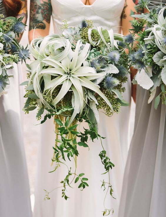 a neutral non-floral wedding bouquet with cascading greenery, air plants, succulents and thistles is amazing for a non-floral wedding