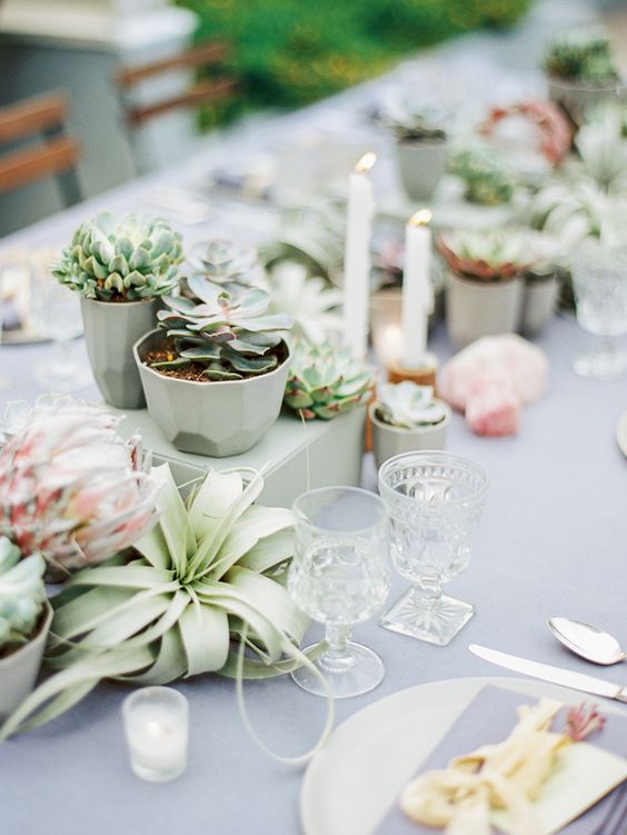 a neutral wedding tablescape with potted succulents, an air plant and king proteas, candles and a grey tablecloth