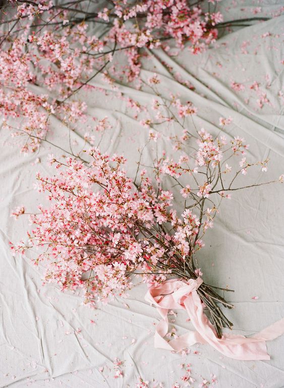 a pink cherry blossom wedding bouquet with pink ribbon is a lovely idea for a modern spring bride