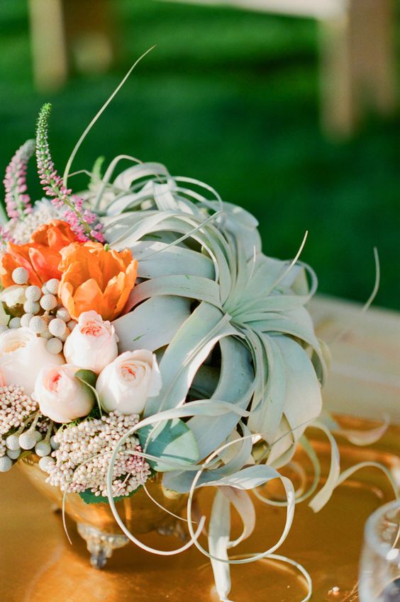 a pretty wedding centerpiece of blush and orange blooms, berries and large air plants is a very unusual solution