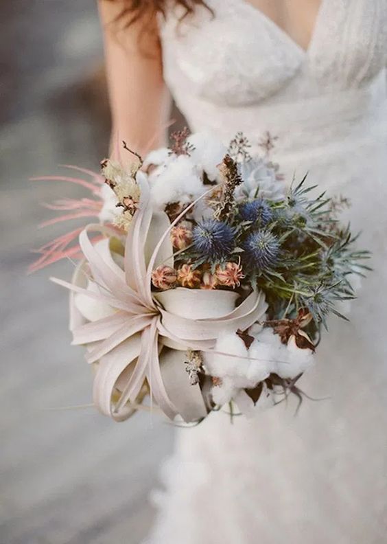 a wedding bouquet composed an an air plant, some cotton, dried blooms and blue thistles is a beautiful idea for a beach bride