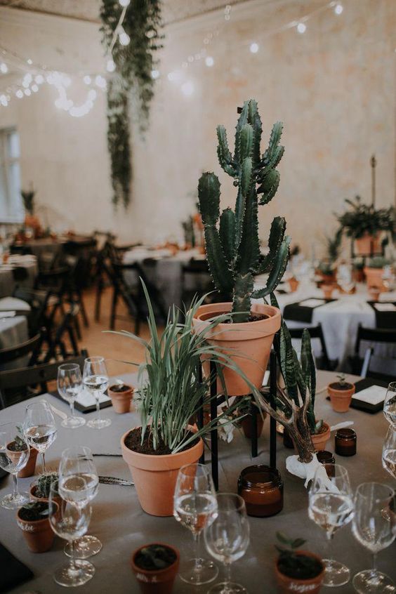 a wedding centerpiece of potted succulents, cacti and greenery is ideal for a desert or just boho wedding