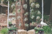 a whimsical wedding backdrop with a greenery and air plant wedding arch, hay, a goose, some dark and usual foliage and succulents
