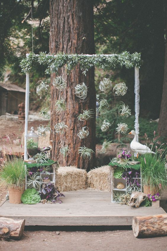 a whimsical wedding backdrop with a greenery and air plant wedding arch, hay, a goose, some dark and usual foliage and succulents
