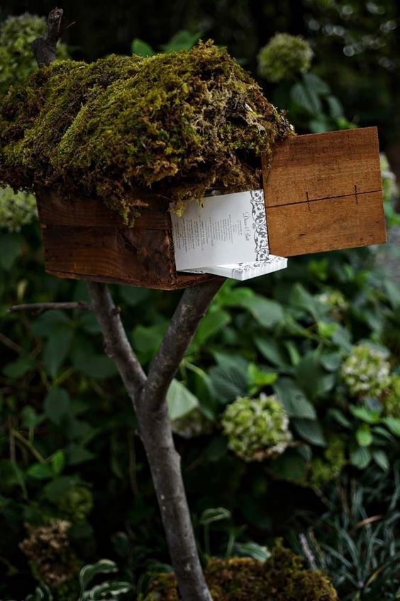 a wooden mailbox with moss on top is standing on a large branch and is used to display wedding programs