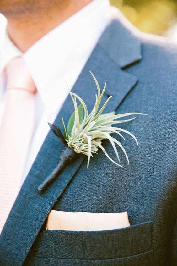 an air plant wedding boutonniere is a creative idea for any wedding, it's a lovely accent to go for