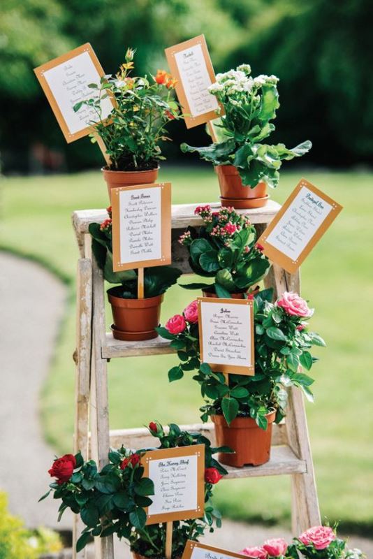 a ladder with bright potted flowers is a very creative rustic wedding seating chart idea