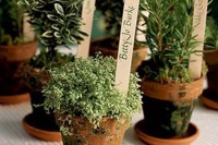 marked potted greenery is a cool sustainable wedding favor idea