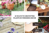 how-to-use-potted-plants-in-your-wedding-decor-25-unique-ideas