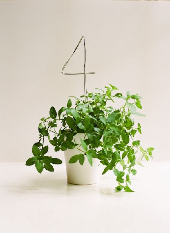 potted greenery with a wire table number is a cool wedding decoration or centerpiece