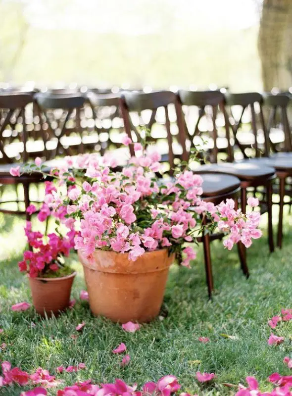 pink and fuchsia potted blooms to decorate the aisle and make it bold without wasting any flowers