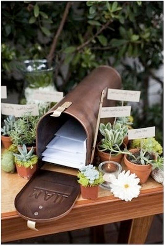 a box with wedding cards and potted greenery and succulents for decorating