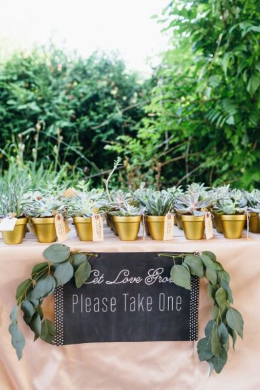 potted greenery and succulents as wedding favors is a cool sustainable wedding favor idea