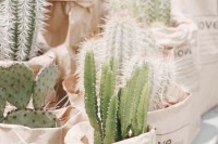 potted cacti packed into paper bags are nice desert wedding favors that are very sustainable