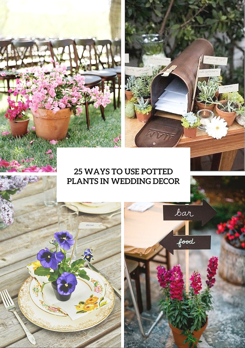 How to use potted plants in your wedding decor 25 unique ideas