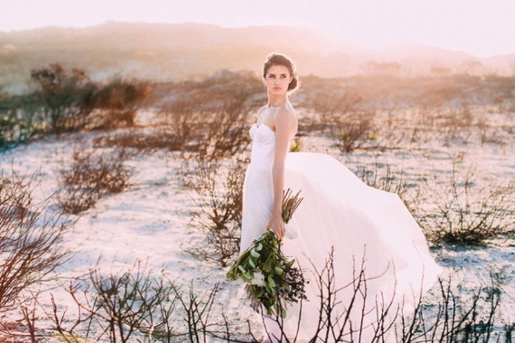 Modern Watercolor Rose Quartz And Serenity Wedding Shoot
