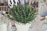 potted flowers is a cool and simple wedding centerpiece for a modern and fresh wedding