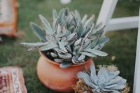 potted pale succulents are nice decorations to highlight the wedding aisle for a boho or desert wedding