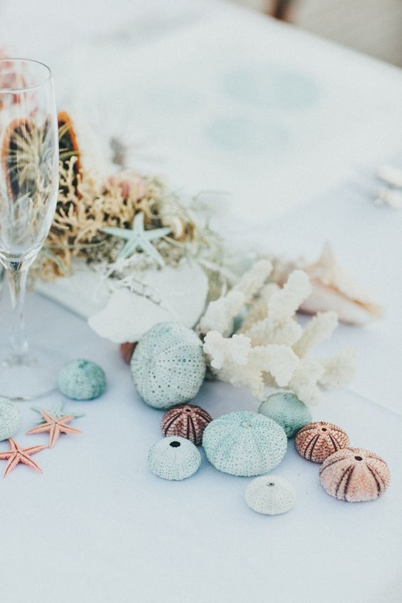 a lovely seaside bridal shower tablescape with sea urchins, starfish, corals, greenery and air plants is amazing
