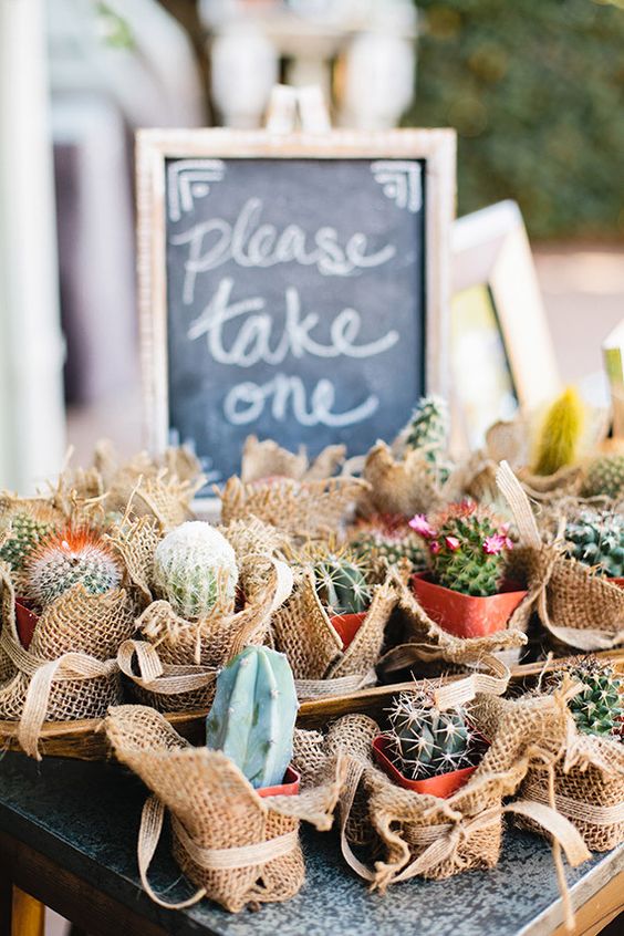 cactus wedding favors