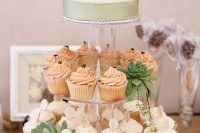 22 cupcake stand decorated with succulents