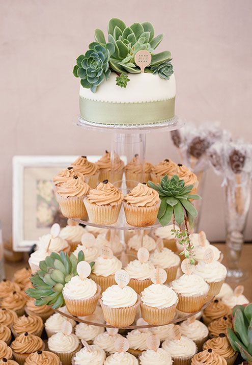 cupcake stand decorated with succulents