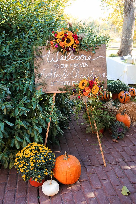 beautiful fall wedding decor with a sign done with bright fall blooms, potted flowers and pumpkins is amazing for a fall wedding