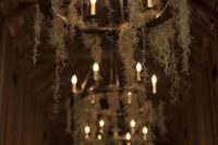 27 antique-styled chandeliers, bulbs remind of candles and airplants instead of spiderweb