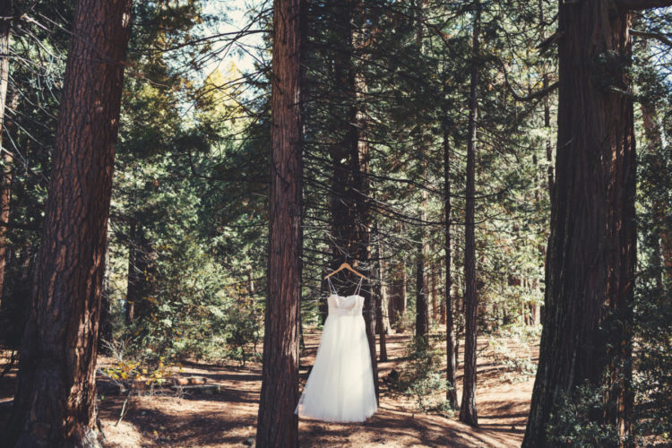 Gentle Woodland Wedding In Yosemite