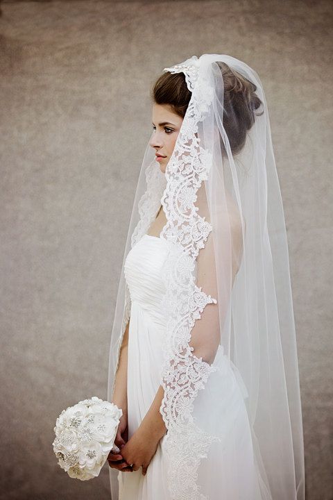 stunning French lace mantilla veil with a beautiful updo