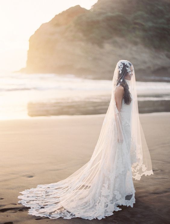 lace edge cathedral veil with side swept hair