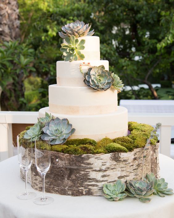 moss and succulents give this cake a forest-inspired look