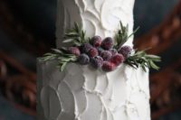 25 modern cake with sugared cranberries and fir