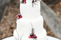 29 white cake decorated with pinecones, cranberries and branches