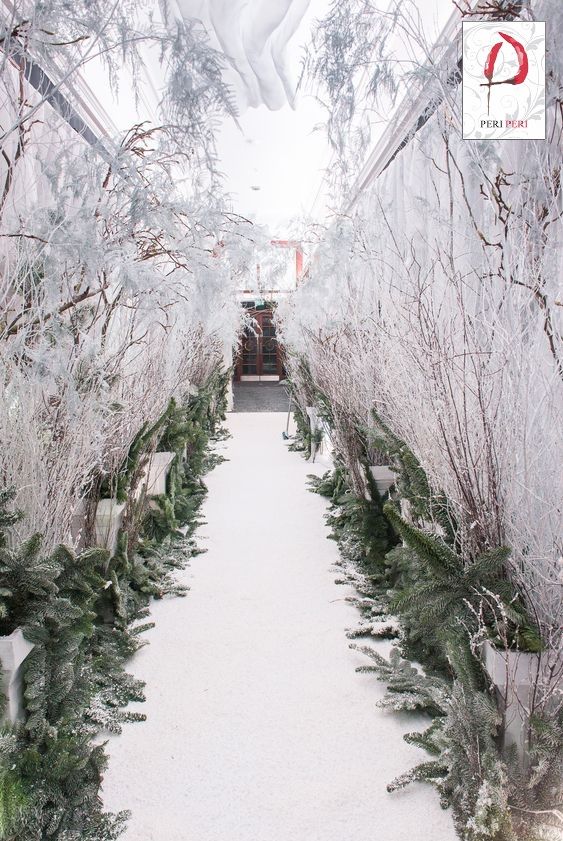 a winter wonderland wedding aisle with frozen trees, evergreens is a very chic and charming decor idea