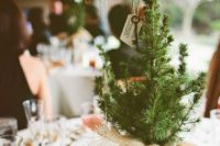 31 use small pine trees as simple, rustic centerpieces wrapped in heavy burlap