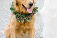 35 a eucalyptus wreath will not hurt your dog