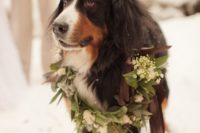 37 cute floral wreath or collar for your pup