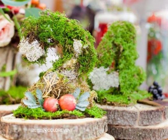 moss centerpieces with fruit