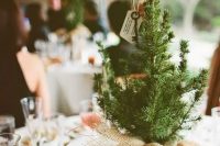 use small pine trees as simple, rustic centerpieces wrapped in heavy burlap