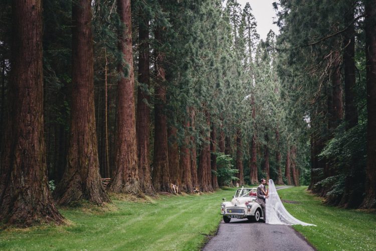The couple went to the forest to take some amazing photos