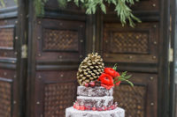 08 The wedding cake was a bark one, with cranberries, a big pinecone and flowers